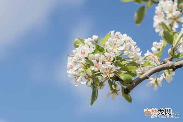 网上有个问题：“从男人的角度看 做到这几点，男人会忍不住爱上你，为你着迷