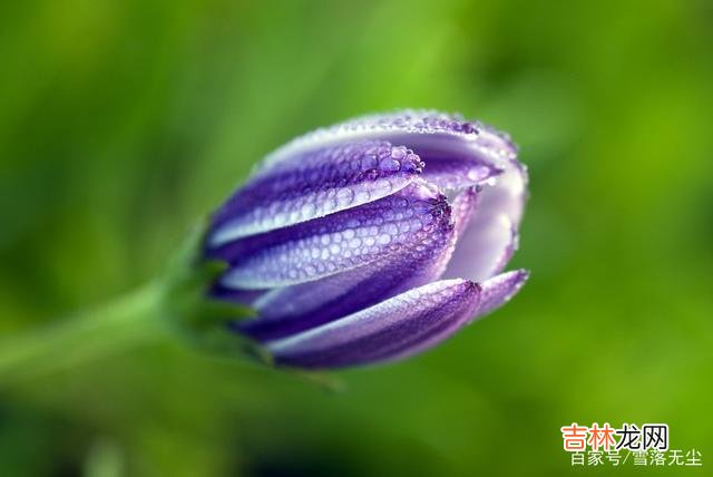 聪明的人，从不说三种话，给自己添祸端