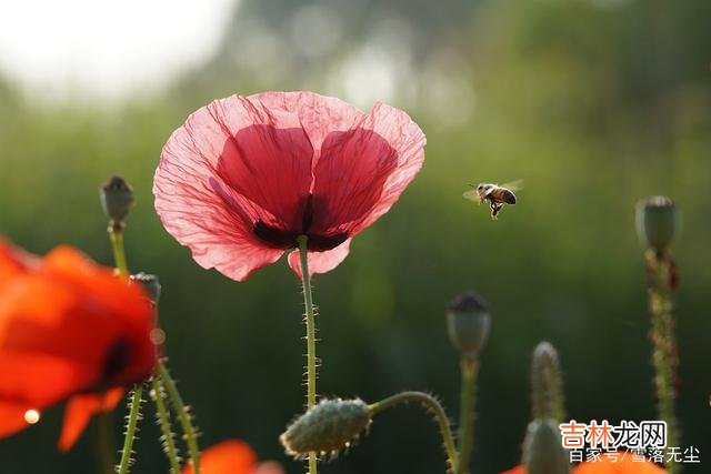 聪明的人，从不说三种话，给自己添祸端