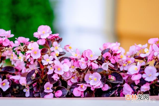 好看的皮囊千篇一律 身为女人，不在三件事上“服软”，才能活得漂亮