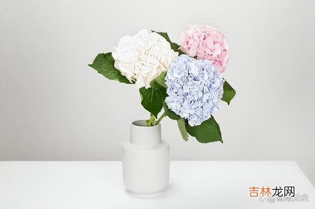 电影《失恋33天》里有这样一句台词：“我们那个年代的人 婚姻里，若你看不透下面几个真相，跟谁过都过不好