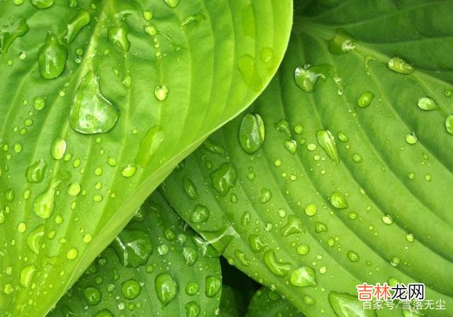 分手了，不能做这3种男人，若不想吃亏，就离他远点