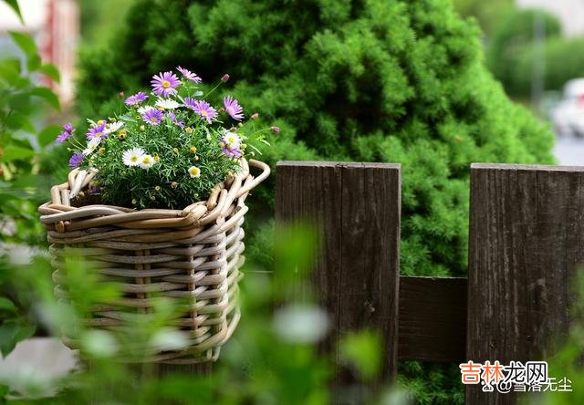任何人只要喜欢一个人 男人遇到，便会深深爱上的，是愿意为他吃下面几种苦的女人