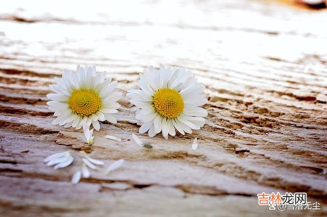 总想自己的日子过得如行云流水 如果女人想活得有底气，就要有份踏实的工作
