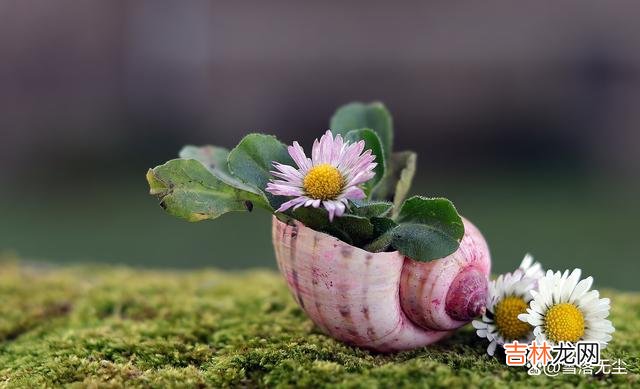 很多女人对自己的婚姻 夫妻之间的精神背叛,女人要留个心眼