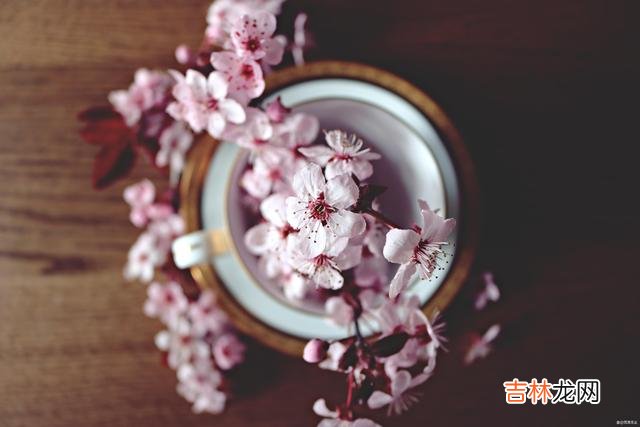 在感情中 男人有此“特质”的男人，对女生自始至终都不会爱上你