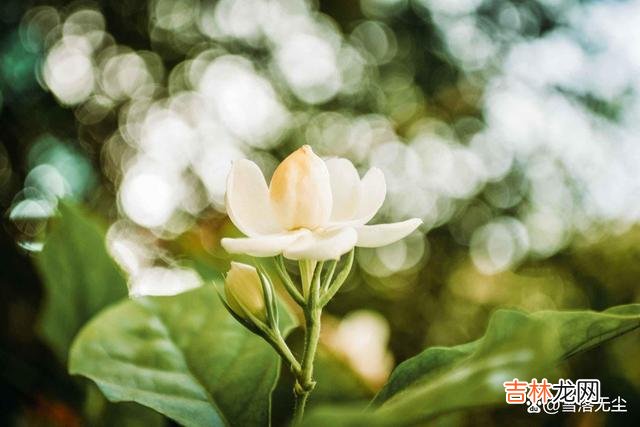 每一天都会播出新的爱情电视剧 别傻了，用如此方式“倒贴”男人，他不会珍惜这段感情