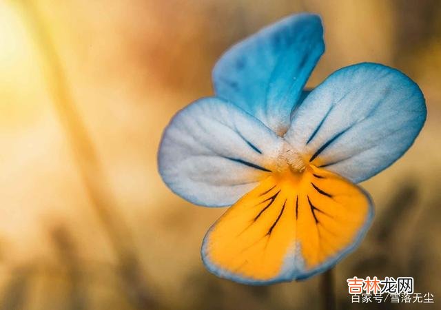 伤害也是一种成长，离开错的人，才能够走对的路