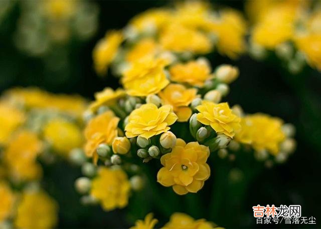 伤害也是一种成长,离开错的人,才能够走对的路