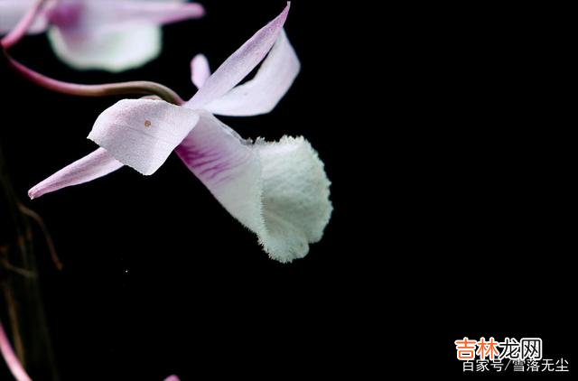 爱情很美好 你爱的人不爱你了，别乞求也别挽留，这样做会更好