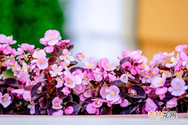 现在很多女生都妄想通过婚姻来改变自己的阶层 女人在这段婚姻中，越早看清，越能嫁得好