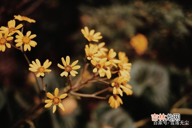 夫妻吵架先认错不丢人,恰恰是一种胸襟豁达的体现