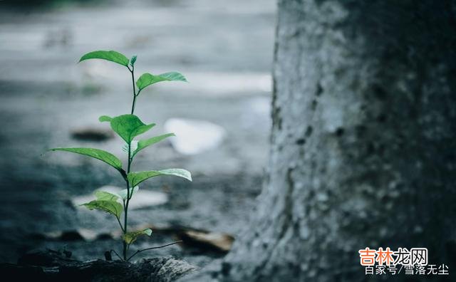 夫妻吵架先认错不丢人,恰恰是一种胸襟豁达的体现