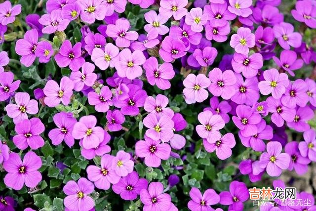 巴尔扎克说：“爱情应该存在完完全全的 只想跟你玩玩的男人，才会露出的“破绽”，看清就远离吧
