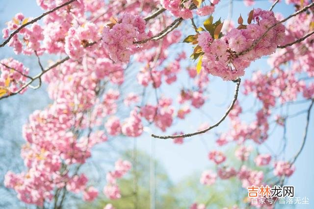 巴尔扎克说：“爱情应该存在完完全全的 只想跟你玩玩的男人，才会露出的“破绽”，看清就远离吧