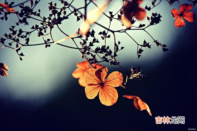 说到背叛 遭遇男人背叛，女人若想赢得漂亮，有几句话请牢记在心