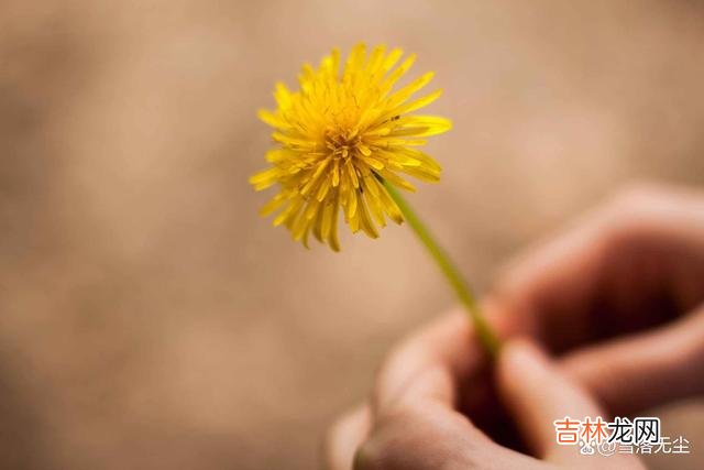 说到背叛 遭遇男人背叛，女人若想赢得漂亮，有几句话请牢记在心