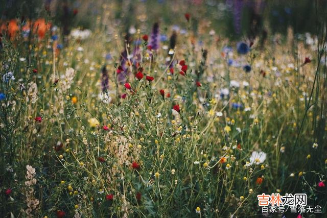 哈佛大学幸福课上讲：“与我们所爱的人 幸福来之不易，当幸福来敲门的时候，记得珍惜、守候