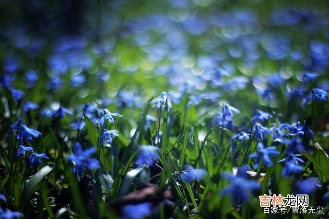 乔拜伦说：“爱情对于男人来说不过是身外之物 嫁给一个能带自己成长的男人，才会收获幸福