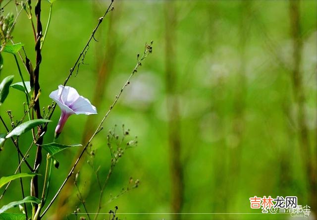 朱德庸说：“人生是一场倾盆大雨 夫妻相处，少做三件“糊涂事”，婚姻越过越好