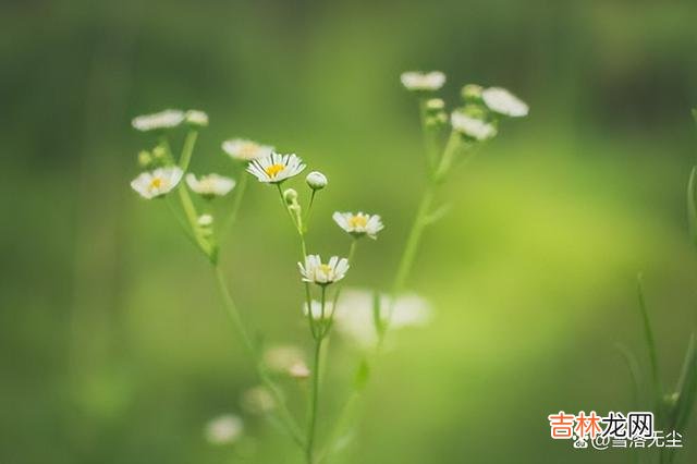 朱德庸说：“人生是一场倾盆大雨 夫妻相处，少做三件“糊涂事”，婚姻越过越好