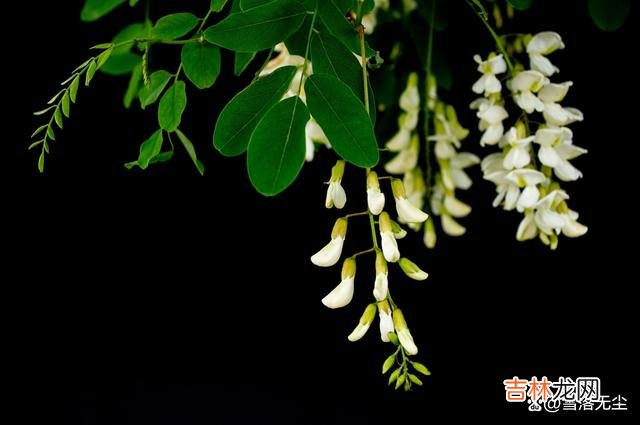 朱德庸说：“人生是一场倾盆大雨 夫妻相处，少做三件“糊涂事”，婚姻越过越好