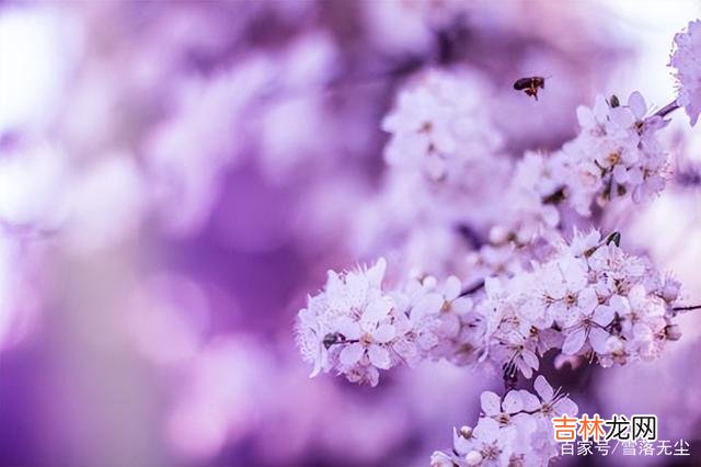 冰心说：“家是什么 一个家，越过越好的3个迹象，占一个已是幸福的方式