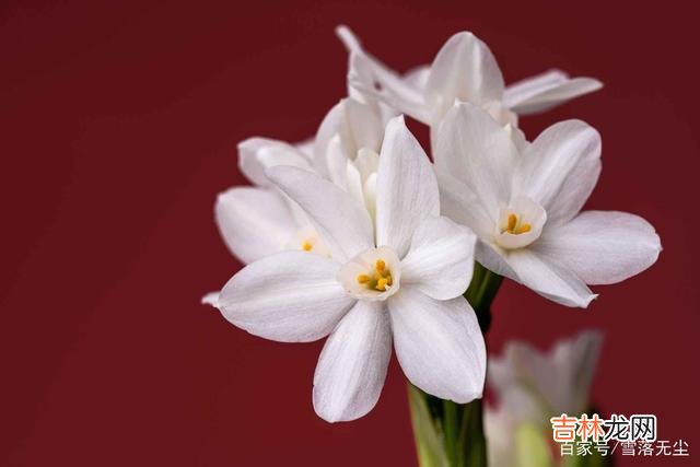 乔拜伦说：“爱情 不和你谈“未来”的人，不想和你有未来