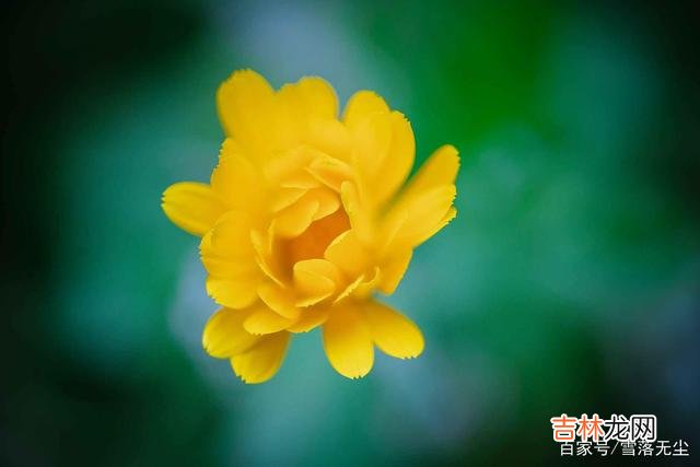 乔拜伦说：“爱情 不和你谈“未来”的人，不想和你有未来