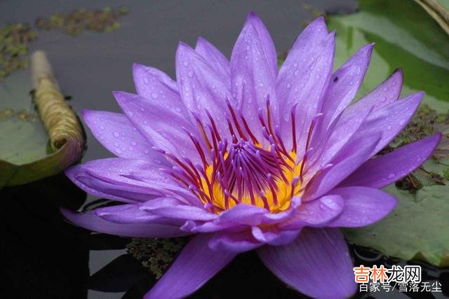 乔拜伦说：“爱情 不和你谈“未来”的人，不想和你有未来