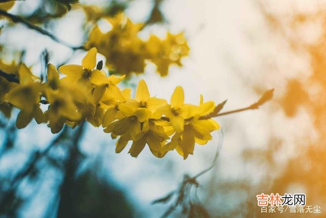 张小娴说:“我以为爱情可以填满人生的遗憾 嫁给一个对自己好的男人,就是一生的幸福