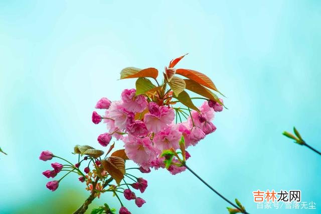 张小娴说:“我以为爱情可以填满人生的遗憾 嫁给一个对自己好的男人,就是一生的幸福