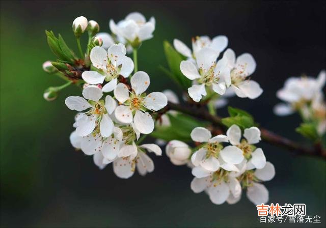 最好的感情是没有争吵 男人的两个变化,预示着他已经不爱你了