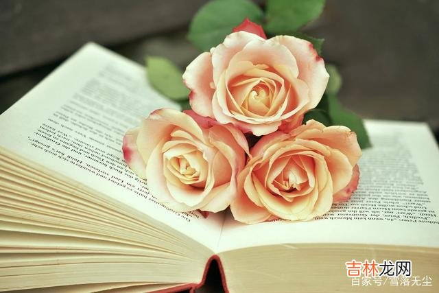 演员贾晓晨现在已经生了二宝 结婚后，女人不管有没有男人爱，做好一件事你就赢了