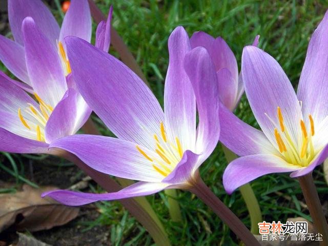 从不发朋友圈的人，不只是低调，而是“另有所图”