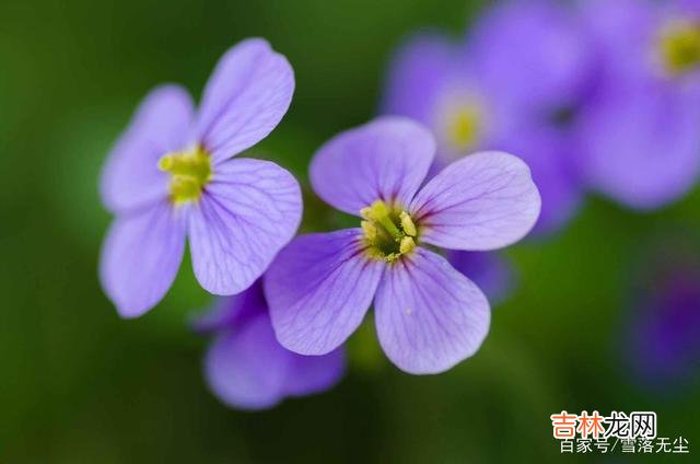 从不发朋友圈的人，不只是低调，而是“另有所图”