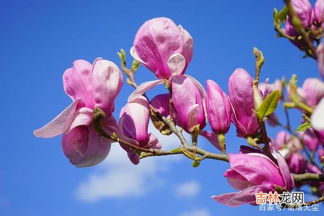 生活不易，且行且珍惜，不要对另一半有太多期待