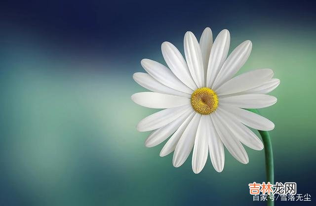 生活不易，且行且珍惜，不要对另一半有太多期待