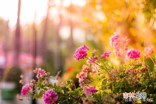 都说 有种人，对你再好也要远离，他会拖累你的人生，说的就是这种人