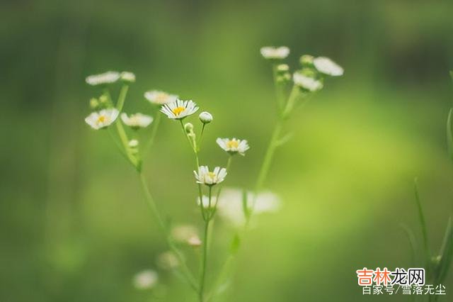 都说 有种人，对你再好也要远离，他会拖累你的人生，说的就是这种人