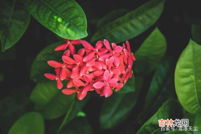 都说 有种人，对你再好也要远离，他会拖累你的人生，说的就是这种人
