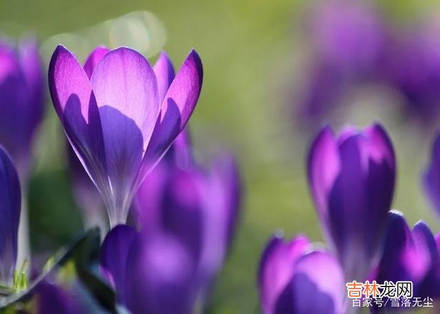 社会很复杂 人一辈子，比挣钱更重要的，是“找对人”