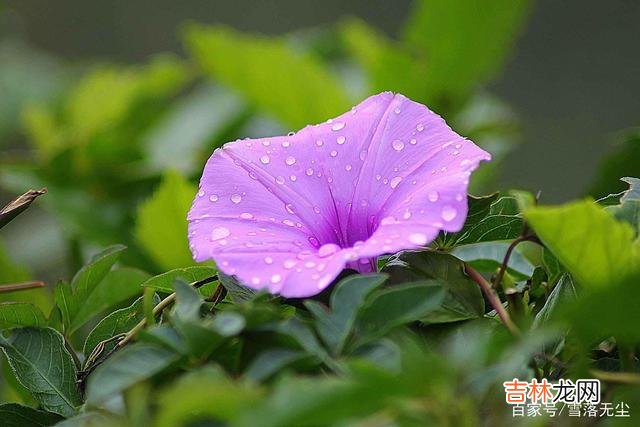 社会很复杂 人一辈子，比挣钱更重要的，是“找对人”