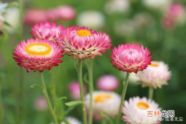 社会很复杂 人一辈子,比挣钱更重要的,是“找对人”