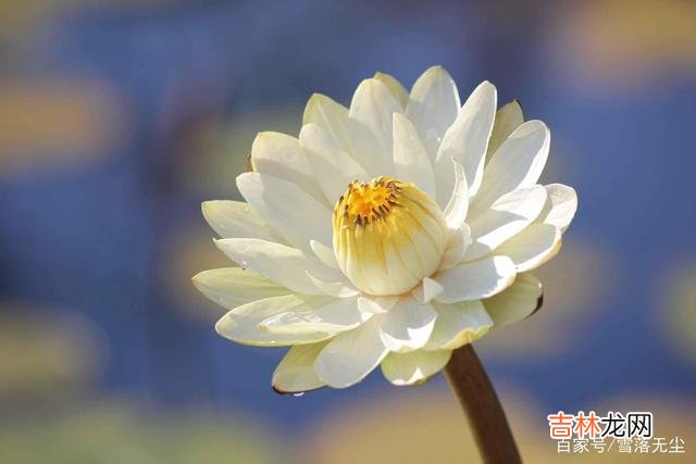 微笑是世界上最美丽的表情 人一辈子，性格决定命运，心境决定人生