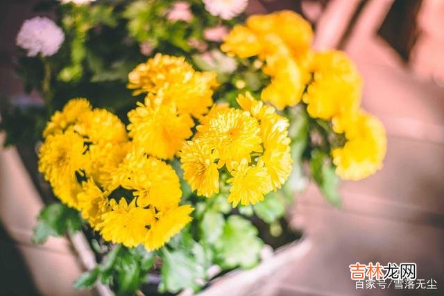 我们都希望自己能有所成就 我们只要经营好自己，其他的一切，自然就会水到渠成了