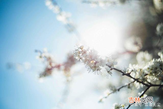 为什么现在的人 做人，要想越活越舒心，记住一点就够了