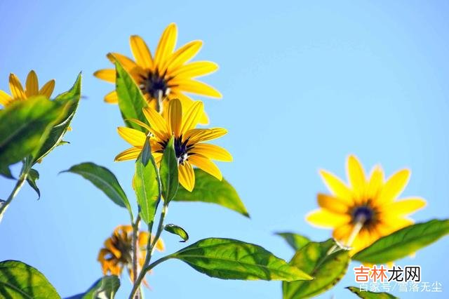 婚姻里最简单的事情就是家务琐事 真正压垮婚姻的，其实是一件“小事”，却很容易被忽视