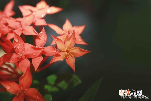 看到网上一则关于离婚的消息：重庆 那些过得好的夫妻，不是不吵架，而是敢做3件事