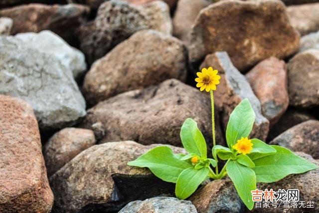 《花千骨》里有这样一句话：“为了这世上的鱼和雁 若想感情顺利，获得男人更多的爱，女人要从自身做起